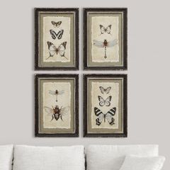 Vintage Reproduction Insect Prints Set of 4
