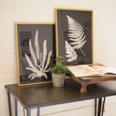 Classic Contemporary Framed Fern Prints Set of 2