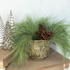 Classic Pine Stem With Pinecone