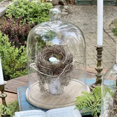 Clear Glass Dome Display With Wooden Base