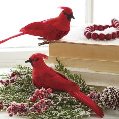 Clip On Cardinal Bird Ornament