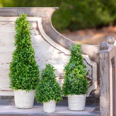 Cone Faux Topiary In Cement Pot