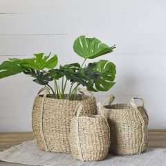 Natural Seagrass Basket Planter Set of 3