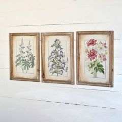 Wood Framed Botanical Wall Art Set of 3
