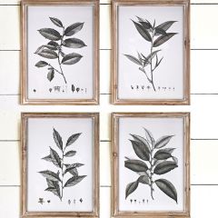 Framed Botanical Leaf Wall Art Set of 4