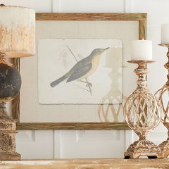 Wood Framed Bird Print Collection Set of 4