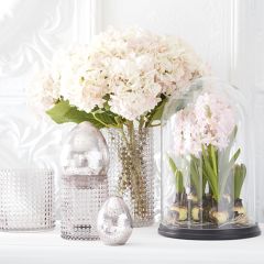 Decorative Cloche with Pink Hyacinth