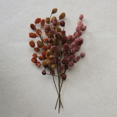 Decorative Dried Thistle Pick Set of 4
