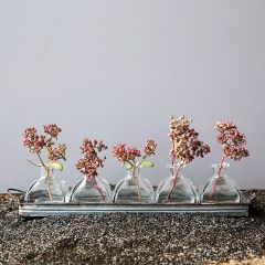 Decorative Iron Tray With 5 Glass Vases