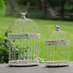 Decorative Metal Bird Cage Set of 2