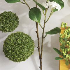 Decorative Sedum Ball 5.5 inch