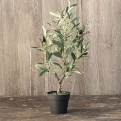Potted Faux Olive Plant