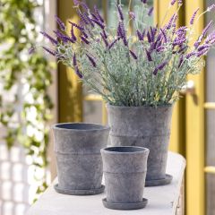 Distressed Cement Garden Pot with Tray