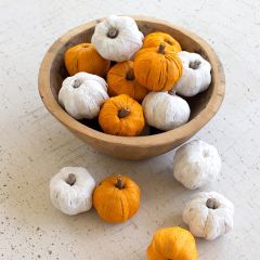 Dried Decorative Mini Pumpkins