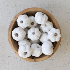 Dried Decorative Mini Pumpkins Set of 15 White