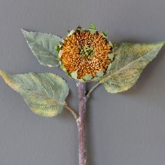 Dried Decorative Sunflower Bud Set of 3