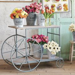 Iron Cottage Flower Cart