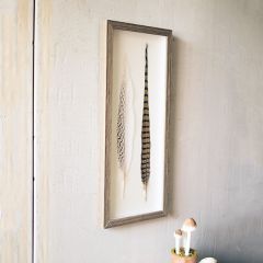 Framed Feathers Wall Decor