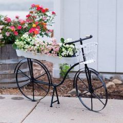 Garden Bicycle Planter