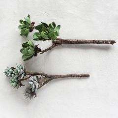 Artificial Succulent Branch Set of 2