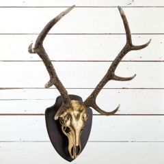 Gold Finish Deer Skull Wall Decor