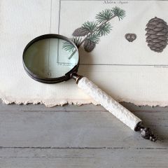 Embossed Handled Magnifying Glass