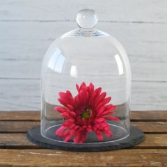 Bell Jar Cloche With Slate Base