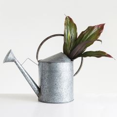 Simple Galvanized Watering Can