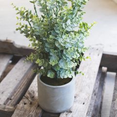Faux Boxwood With Cement Pot