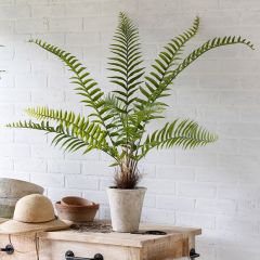 Faux Flat Fern In Ceramic Pot