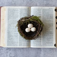 Faux Grapevine Nest and Eggs Set of 2