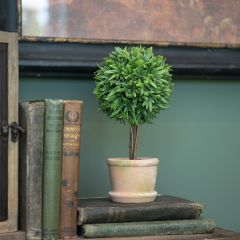 Faux Green Grass Topiary In Ceramic Pot