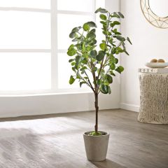 Faux Potted Ming Aralia Tree