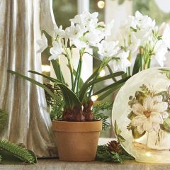 Faux Potted Paperwhites