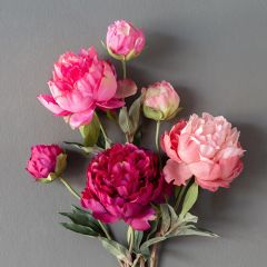Faux Summer Peony Set of 3