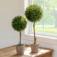 Faux Thyme Ball Topiary In Pot