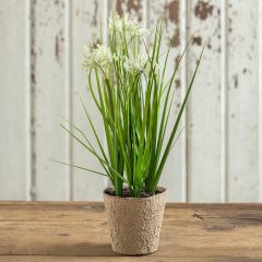 Potted Faux Flowering Grass Plant Set of 2