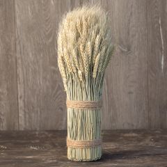 Natural Wheat Bundle