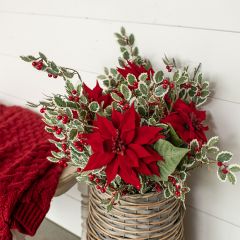 Festive Red Poinsettia Stem