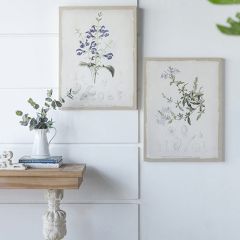Framed Botanical Herb Print Set of 2