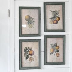 Framed Citrus Prints, Set of 4