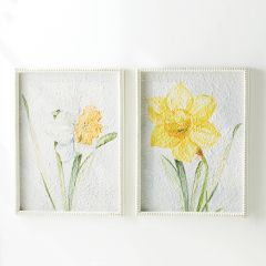 Framed Daffodil Wall Art Set of 2