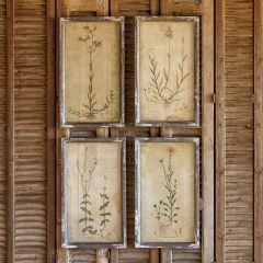 Framed Field Botanical Prints Set of 4
