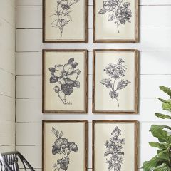 Framed Floral Print Collection Set of 6