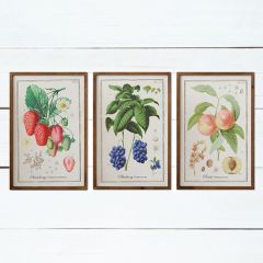 Framed Fruit Print Wall Decor Collection Set of 3