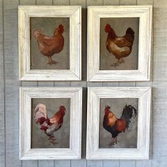 Framed Modern Chicken Print Set of 4