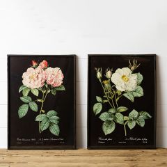 Framed Rose Prints Set of 2