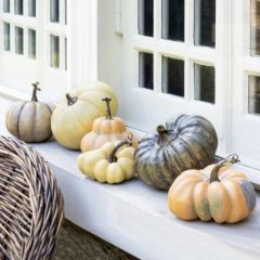 French Pumpkin Collection Set of 6
