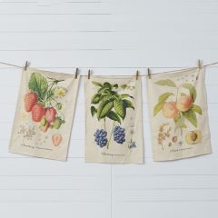 Freshly Picked Fruit Tea Towel Collection Set of 3