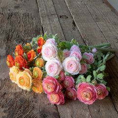 Gathered Ranunculus Bundle Set of 4